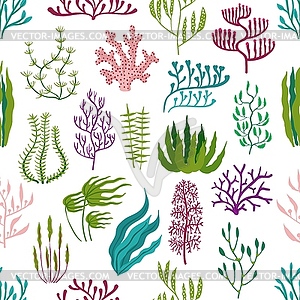 Underwater seaweed plants, aquarium algae pattern - vector clipart