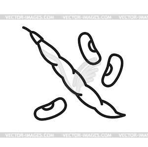 Pod of kidney bean legume food line icon - vector clipart