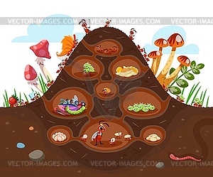 Cartoon anthill colony at soil, ant characters - vector clip art