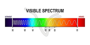 Wavelength, visible light spectrum wave graph - vector EPS clipart