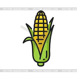 Maize with leaves corncob corn cob icon - vector clipart