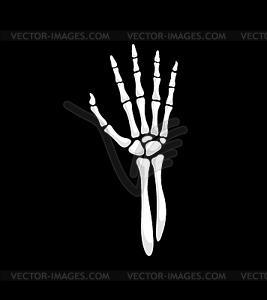 Skeleton hand gesture, open palm - vector image
