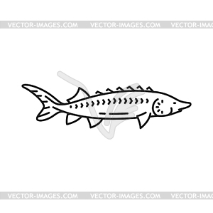 Значок рыбной линии, контур тунца-скумбрии - векторный клипарт Royalty-Free