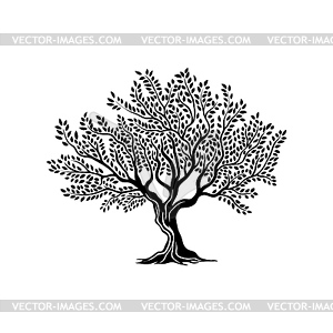 Olive tree silhouette icon or symbol - vector image