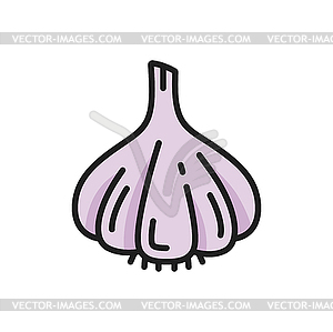 Garlic bulb, clove raw vegetable color line icon - vector image