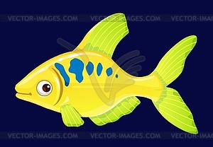 Cartoon tetra aquarium fish funny character - vector clip art