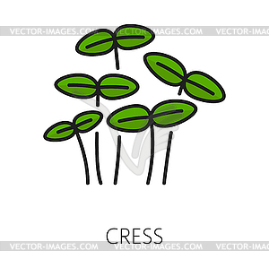 Watercress salad micro greens outline icon - vector clipart / vector image