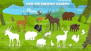 Find correct shadow game, forest hunting animals - vector clipart