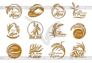 Rice icons with cereal plants and paddy grains - vector image