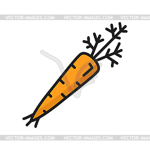 Raw carrot fresh organic vegetable color line icon - vector image