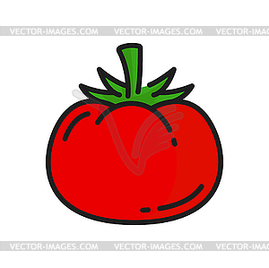 Томатный фрукт со стеблем значок линии сырых красных овощей - изображение в векторном виде
