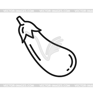 Eggplant veggie food, aubergine thin line icon - vector clip art