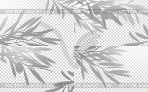 Olive tree branch leaf realistic shadow - vector clip art