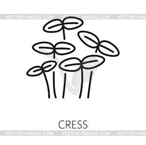 Watercress salad micro greens outline icon - vector clipart