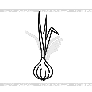 Обычный репчатый лук, овощная икона вегетарианской кухни - рисунок в векторе