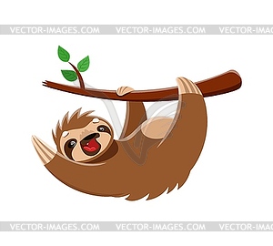 Cartoon sloth character hanging of tree branch, - vector image