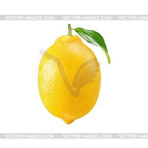 Realistic ripe lemon citrus fruit with green leaf - vector clipart