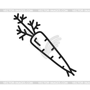 Raw carrot fresh organic vegetable line icon - royalty-free vector clipart