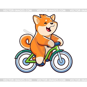 Cartoon kawaii pet shiba inu dog riding bicycle - vector image