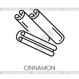 Cinnamon bark strip stick aromatic spices - vector image