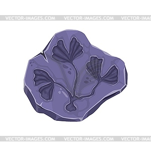 Ancient fossil, seaweed plant stone imprint - vector clip art