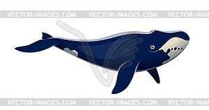 Cartoon bowhead whale cute character - vector clipart