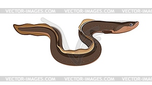 Cartoon sea conger eel cute character - vector clipart