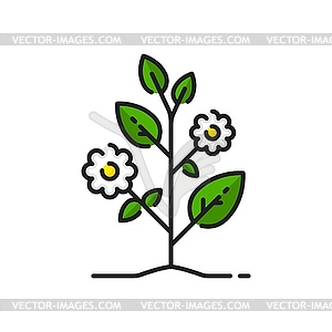 Agriculture seedling, horticulture sprout icon - vector image