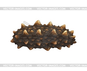 Sea cucumber, cartoon seafood cuisine and food - vector clipart