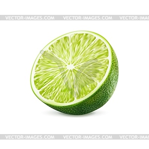 Реалистичный зеленый спелый сырой фрукт лайма, половинка - изображение в формате EPS
