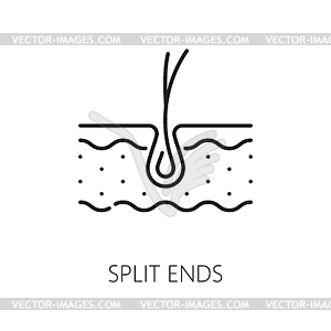 Hair care, split ends treatment thin line icon - vector EPS clipart