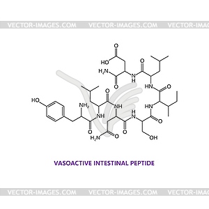 Neurotransmitter, vasoactive intestinal peptide - vector image