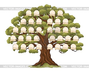 Genealogy family tree photo frames ancestry branch - vector image