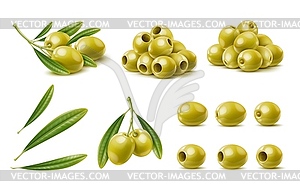 Realistic green olives branch with leaves - vector clip art