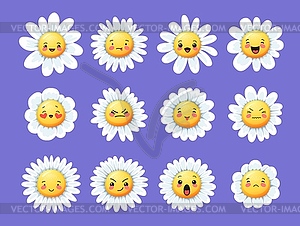 Camomile smile daisy flower cartoon characters - vector image