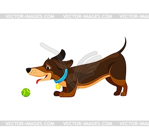 Cartoon dachshund dog character with tennis ball - vector clip art