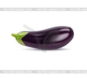 Реалистичный сырой баклажан, цельный овощ - векторизованное изображение