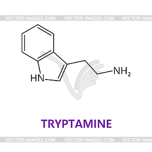 Neurotransmitter, Tryptamine chemical formula - vector image