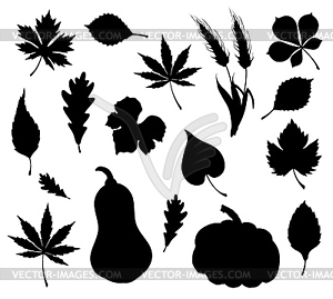 Силуэты осенних кленовых листьев, тыквы, пшеничных колосьев - изображение в векторном формате