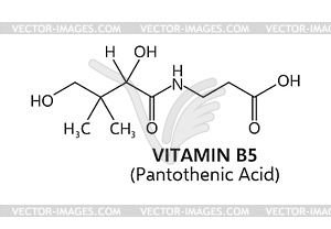 Vitamin b5, or pantothenic acid chemical formula - vector image