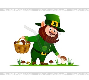 Cartoon gnome or dwarf picking mushrooms in forest - vector image
