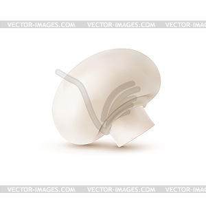 Сырой реалистичный цельный шампиньон, 3d гриб - векторное графическое изображение