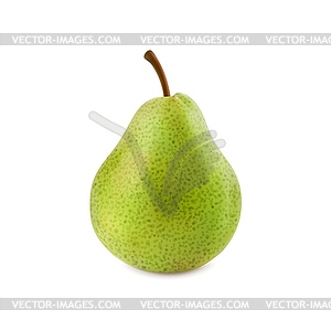 Ripe raw realistic green pear whole fruit - vector clipart