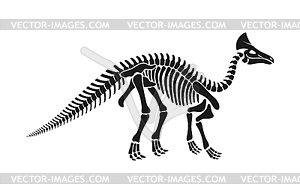 Olorotitan dinosaur skeleton fossil, dino bones - vector clipart