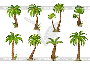 Cartoon jungle coconut palm trees, set f - vector clip art