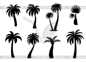 Jungle coconut palm trees silhouettes set - vector clipart