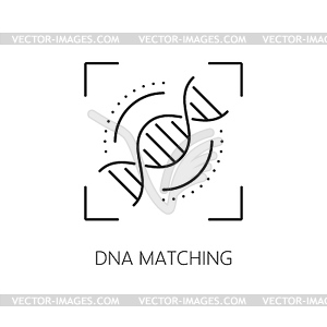 DNA matching biometric identification line icon - vector clipart