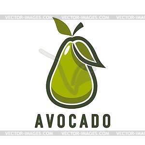 Avocado farm juice or oil icon, organic vegetable - vector image