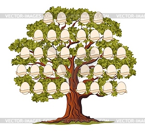 Genealogy family tree, ancestry branch frames - vector clip art