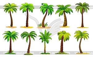 Cartoon jungle palm trees, tropical plants set - vector clipart